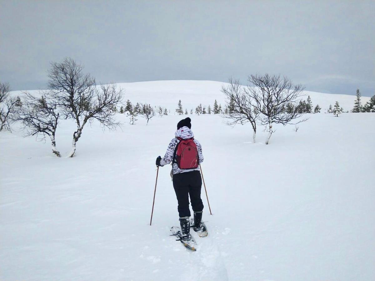 Ounasloma Luxury Cottages Enontekiö Esterno foto